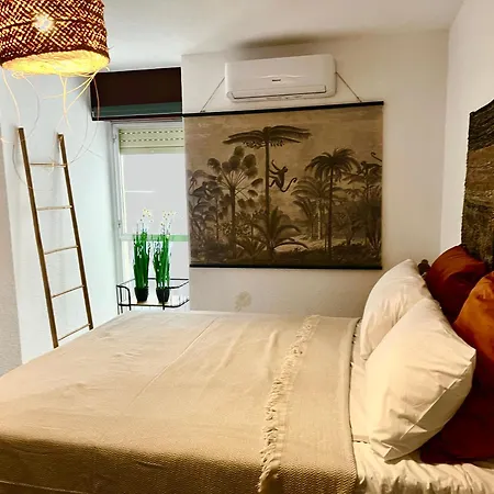 Canónigo Palmeras Center Apartamento