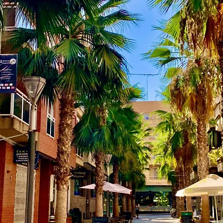 Canónigo Palmeras Center