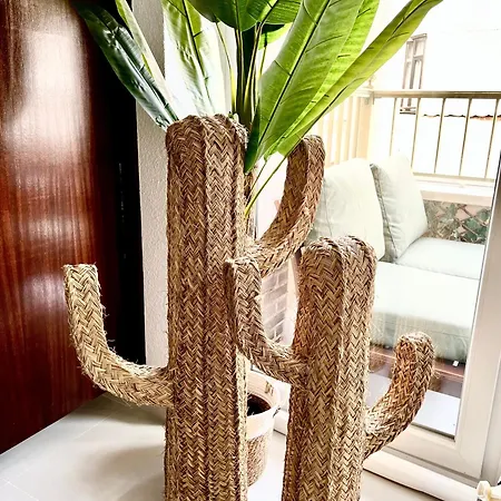 Apartamento Canónigo Palmeras Center *